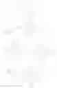 Fig. 23 - Substituted porphyrins