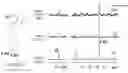 Fig. 01 - Compositions and methods for treatment of leukemia