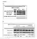 Fig. 04 - Compositions and methods for treatment of leukemia