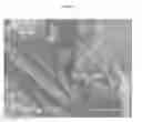 Fig. 06 - Crystalline form of posaconazole