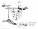 Fig. 02 - Compounds that modulate intracellular calcium