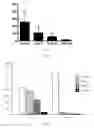 Fig. 08 - Method Of Inhibiting Mucin Secretion