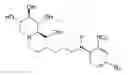 Fig. 01 - IMINOSUGARS AND METHODS OF TREATING FILOVIRAL DISEASES