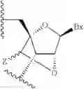 Fig. 06 - Compounds and methods for modulating expression of SGLT2