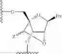 Fig. 07 - Compounds and methods for modulating expression of SGLT2