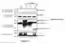 Fig. 06 - Method for Treating Hepatitis C Infection