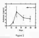 Fig. 03 - AAV VECTOR COMPOSITIONS AND METHODS FOR ENHANCED EXPRESSION OF IMMUNOGLOBULINS USING THE SAME