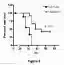 Fig. 09 - AAV VECTOR COMPOSITIONS AND METHODS FOR ENHANCED EXPRESSION OF IMMUNOGLOBULINS USING THE SAME