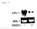 Fig. 05 - INSULIN RESISTANCE IMPROVING AGENT