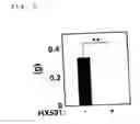 Fig. 06 - INSULIN RESISTANCE IMPROVING AGENT