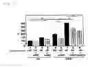 Fig. 18 - INSULIN RESISTANCE IMPROVING AGENT