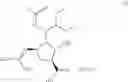 Fig. 02 - (1S,2S,3S,4R)-3-[(1S)-1-ACETYLAMINO-2-ETHYL-BUTYL]-4-UANIDINO-2-HYDROXYL-CYCLOPENTYL-1-CARBOXYLIC ACID HYDRATES PHARMACEUTICAL USES THEREOF