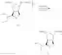 Fig. 08 - (1S,2S,3S,4R)-3-[(1S)-1-ACETYLAMINO-2-ETHYL-BUTYL]-4-UANIDINO-2-HYDROXYL-CYCLOPENTYL-1-CARBOXYLIC ACID HYDRATES PHARMACEUTICAL USES THEREOF