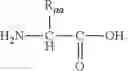 Fig. 96 - PRODRUGS OF GUANFACINE