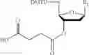 Fig. 02 - Porous resin bead and method for producing nucleic acid using the same