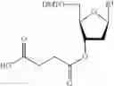 Fig. 02 - Porous resin bead and method for producing nucleic acid using the same