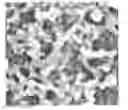 Fig. 01 - Dental composition and composite resin