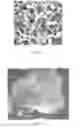 Fig. 02 - Dental composition and composite resin