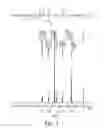 Fig. 02 - Biodegradable copolymer and thermosensitive material