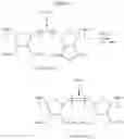 Fig. 100 - Ring-opening metathesis polymerization of norbornene and oxanorbornene moieties and uses thereof
