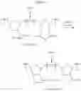 Fig. 103 - Ring-opening metathesis polymerization of norbornene and oxanorbornene moieties and uses thereof