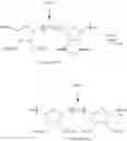 Fig. 110 - Ring-opening metathesis polymerization of norbornene and oxanorbornene moieties and uses thereof
