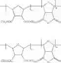 Fig. 31 - Ring-opening metathesis polymerization of norbornene and oxanorbornene moieties and uses thereof