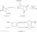 Fig. 63 - Ring-opening metathesis polymerization of norbornene and oxanorbornene moieties and uses thereof