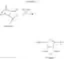 Fig. 70 - Ring-opening metathesis polymerization of norbornene and oxanorbornene moieties and uses thereof