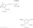 Fig. 71 - Ring-opening metathesis polymerization of norbornene and oxanorbornene moieties and uses thereof