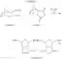 Fig. 76 - Ring-opening metathesis polymerization of norbornene and oxanorbornene moieties and uses thereof