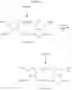 Fig. 80 - Ring-opening metathesis polymerization of norbornene and oxanorbornene moieties and uses thereof