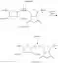 Fig. 82 - Ring-opening metathesis polymerization of norbornene and oxanorbornene moieties and uses thereof