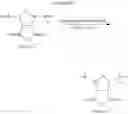 Fig. 86 - Ring-opening metathesis polymerization of norbornene and oxanorbornene moieties and uses thereof