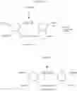Fig. 91 - Ring-opening metathesis polymerization of norbornene and oxanorbornene moieties and uses thereof