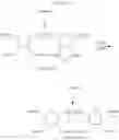 Fig. 92 - Ring-opening metathesis polymerization of norbornene and oxanorbornene moieties and uses thereof