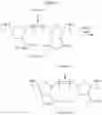 Fig. 94 - Ring-opening metathesis polymerization of norbornene and oxanorbornene moieties and uses thereof