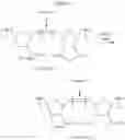 Fig. 95 - Ring-opening metathesis polymerization of norbornene and oxanorbornene moieties and uses thereof