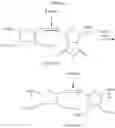 Fig. 96 - Ring-opening metathesis polymerization of norbornene and oxanorbornene moieties and uses thereof