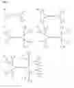 Fig. 06 - POLYETHER POLYOL DENDRON CONJUGATES WITH EFFECTOR MOLECULES FOR BIOLOGICAL TARGETING