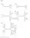 Fig. 07 - POLYETHER POLYOL DENDRON CONJUGATES WITH EFFECTOR MOLECULES FOR BIOLOGICAL TARGETING