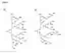 Fig. 12 - POLYETHER POLYOL DENDRON CONJUGATES WITH EFFECTOR MOLECULES FOR BIOLOGICAL TARGETING