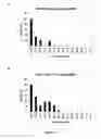Fig. 02 - METHODS AND COMPOSITIONS FOR THE SPECIFIC INHIBITION OF GENE EXPRESSION BY DOUBLE-STRANDED RNA