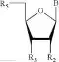 Fig. 06 - SYNTHESIS OF OLIGONUCLEOTIDES