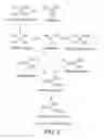 Fig. 04 - PALLADIUM CATALYST SYSTEM COMPRISING ZWITTERION AND/OR ACID-FUNCTIONALYZED IONIC LIQUID