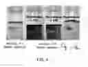 Fig. 05 - PALLADIUM CATALYST SYSTEM COMPRISING ZWITTERION AND/OR ACID-FUNCTIONALYZED IONIC LIQUID