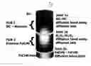 Fig. 01 - Double transition joint for the joining of ceramics to metals