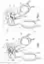 Fig. 02 - Instrument for endoscopic surgery