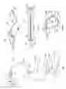 Fig. 03 - Steerable segmented endoscope and method of insertion