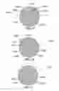 Fig. 22 - METHOD AND SYSTEM FOR QUANTITATIVE ASSESSMENT OF FACIAL EMOTION NULLING